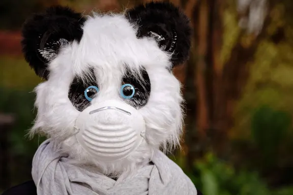 Casino Fairground Slots Support